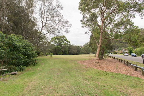 Leafy reserve with  mature trees