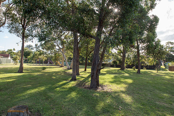 Park with grassy open area and shady trees