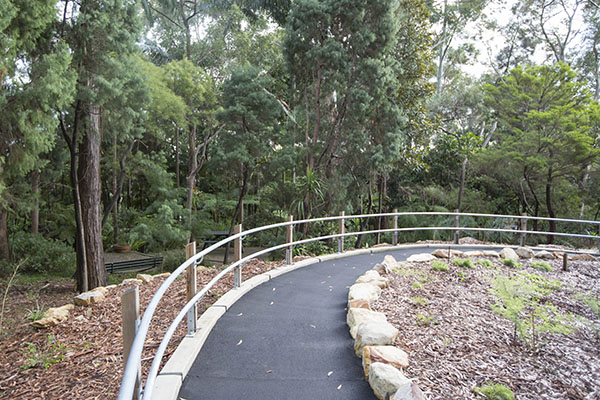 pathway in native plants reserve