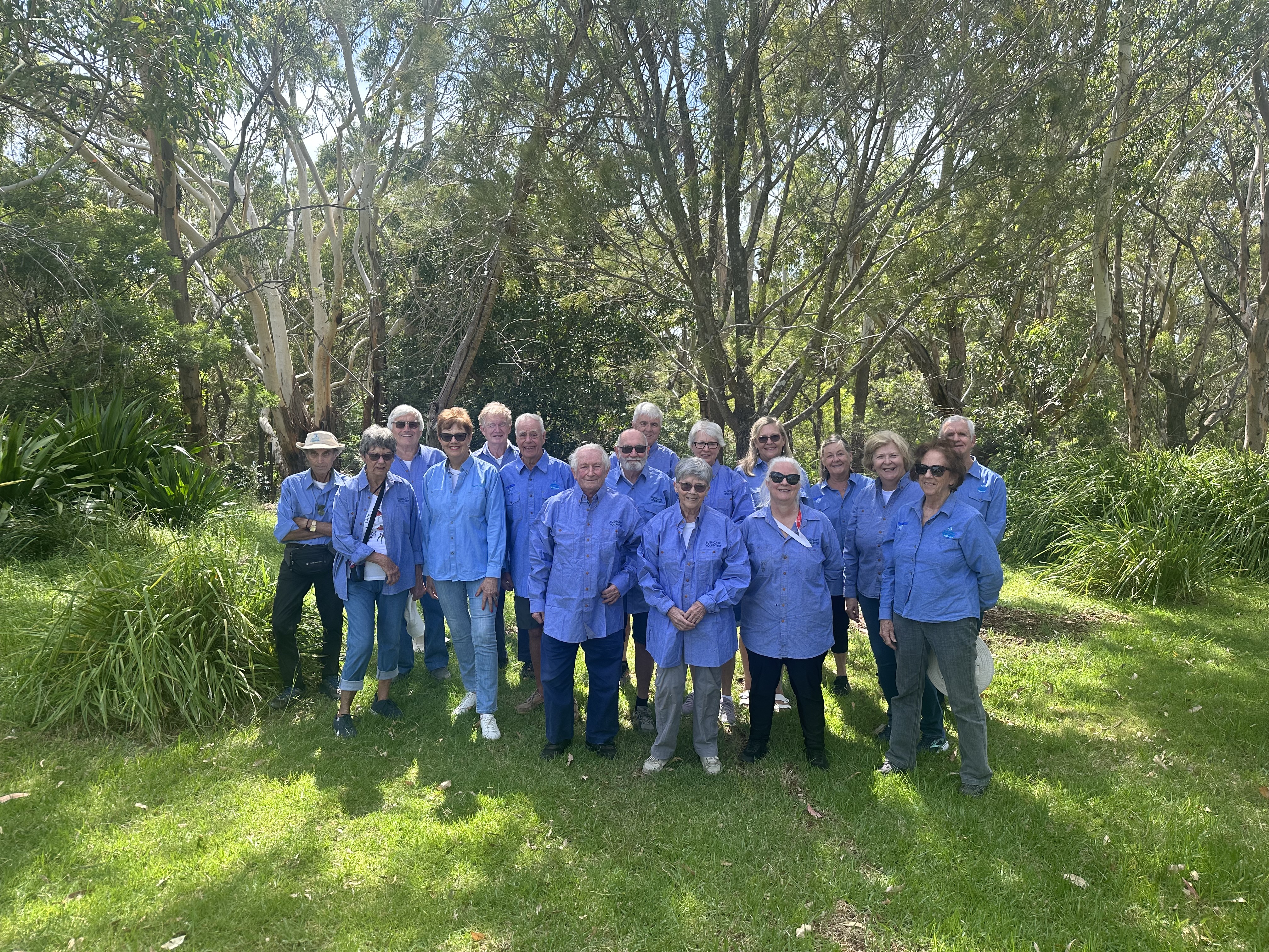 Group of Bushcare volunteers among greenery at old School Park, Gymea