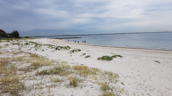 People and dogs at off-leash beach