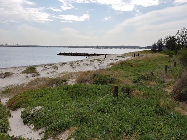 Dog off-leash area at Silver Beach