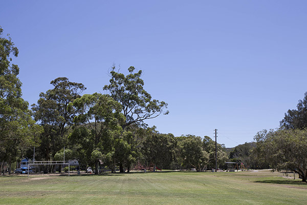 Playing fields in foreshore park