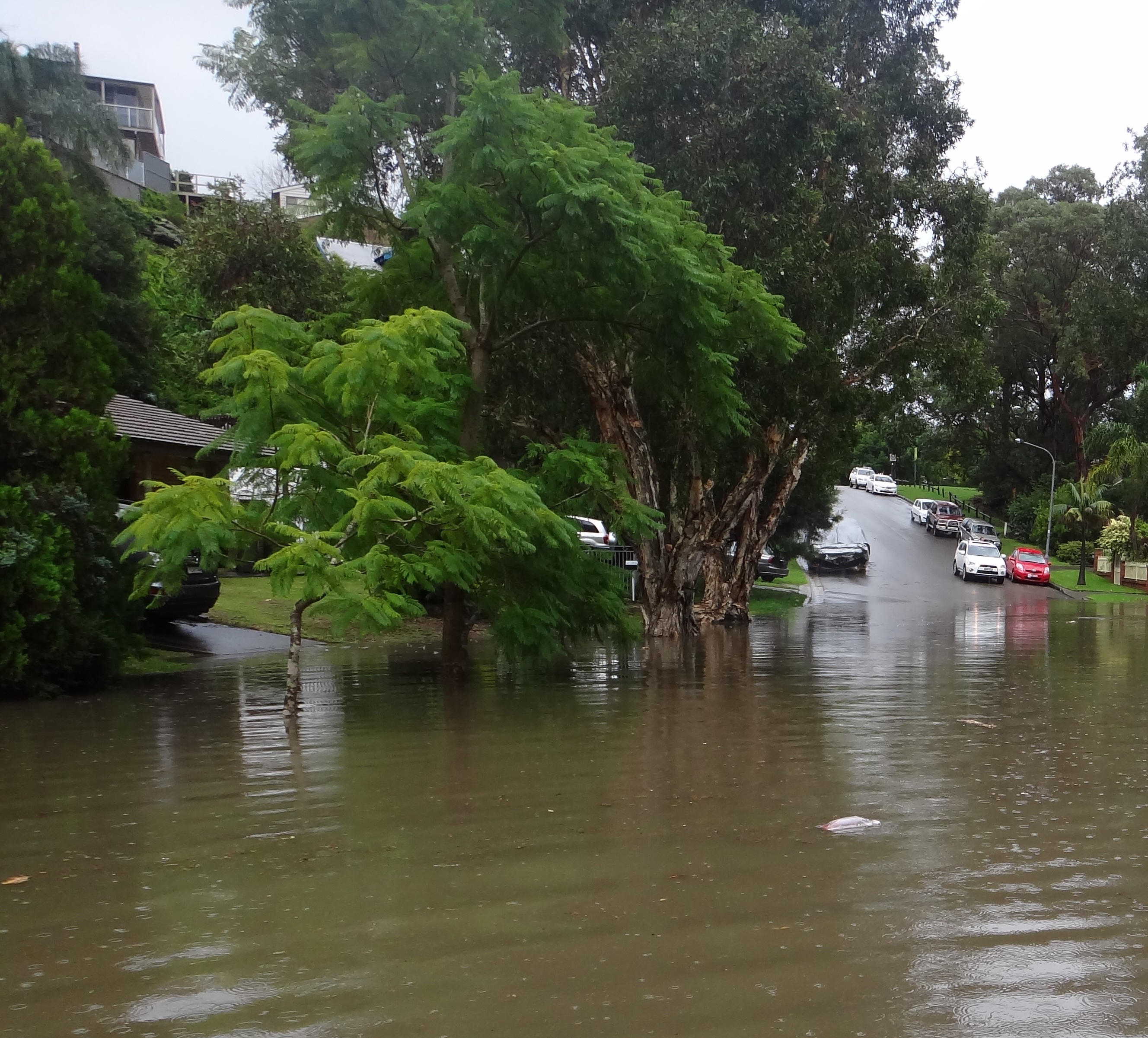 2024 Flood management flooded street consultation 
