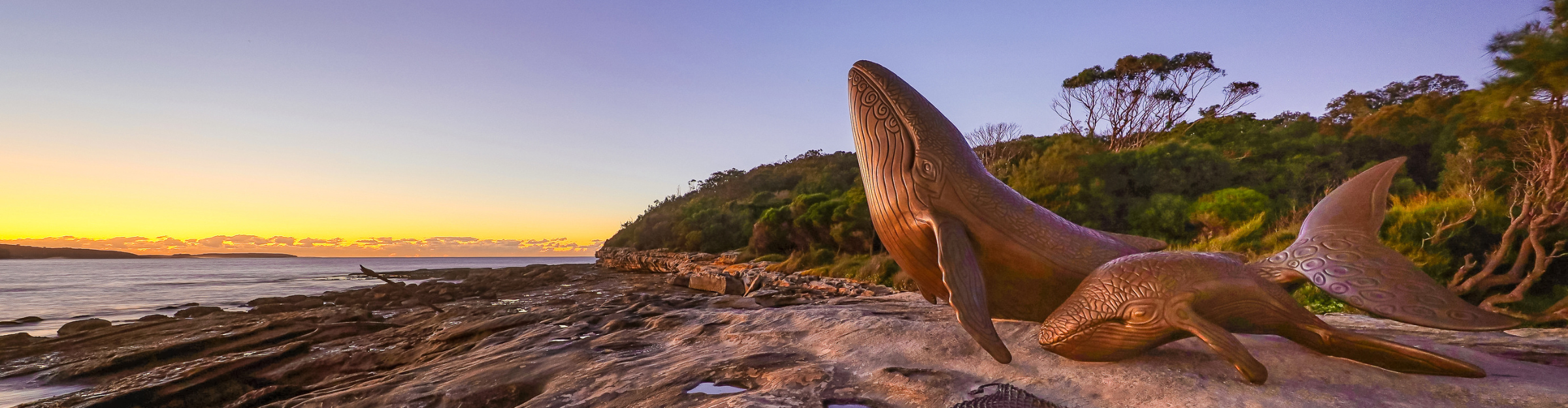 Sunrise with Whales Kurnell by Rmonty119 CC licence June2023