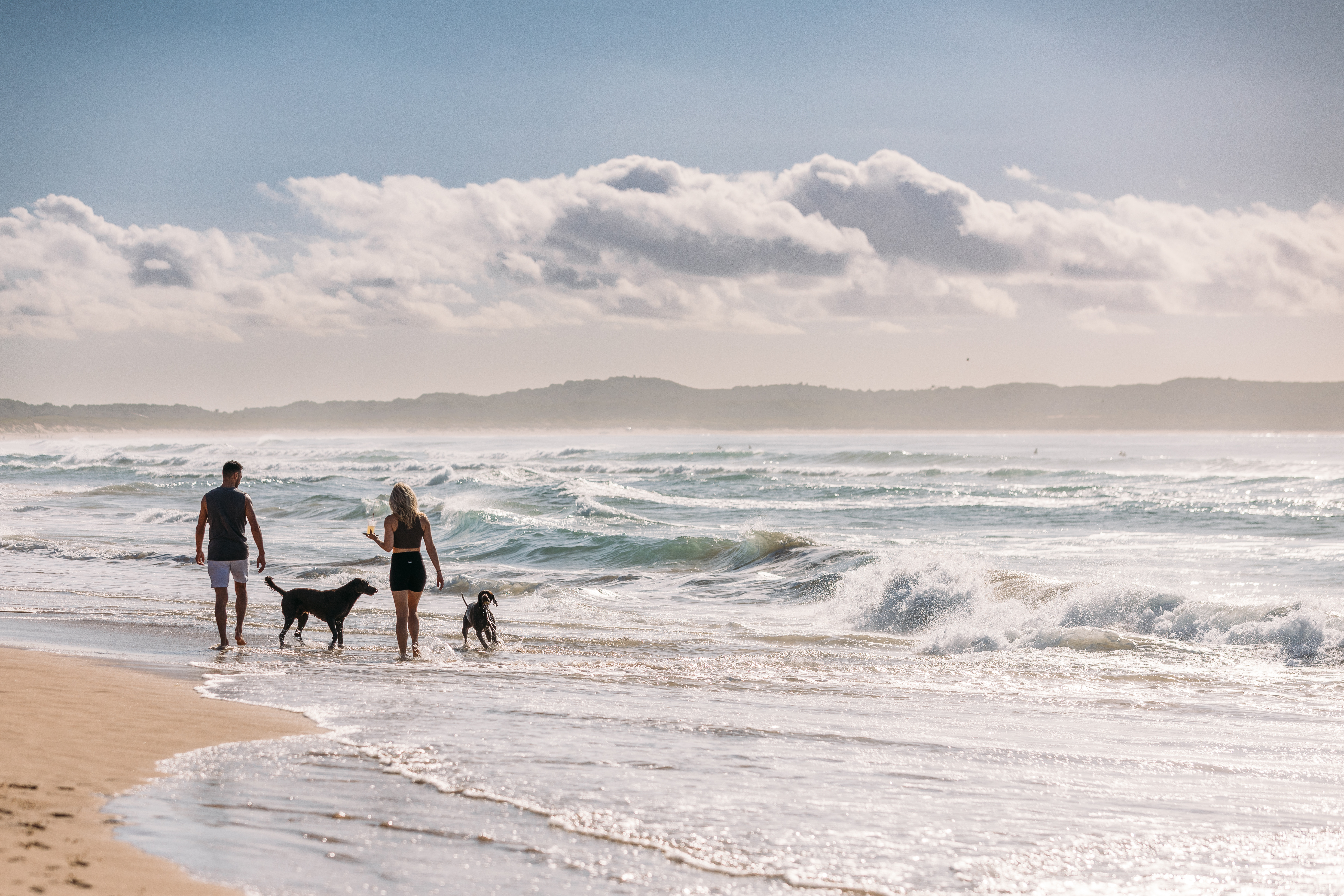 A man and woman at the dog beach with two dogs, waves crashing in the background. 